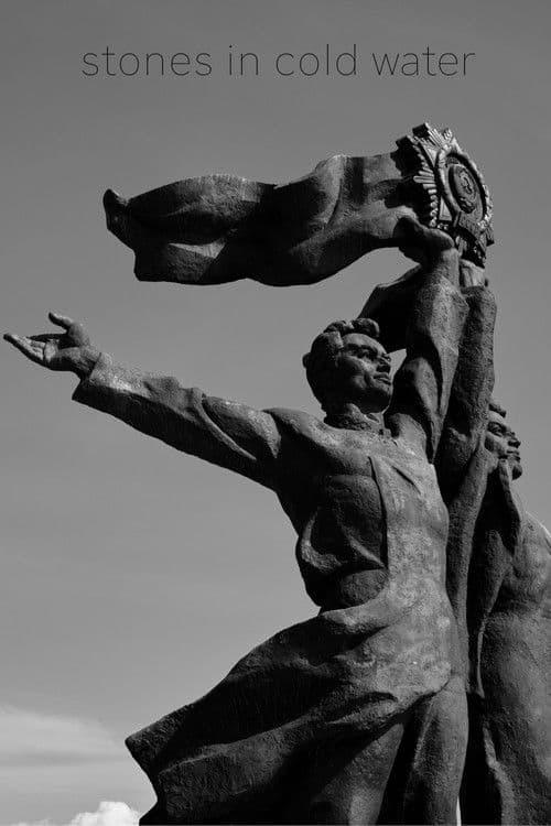 Stones in Cold Water poster