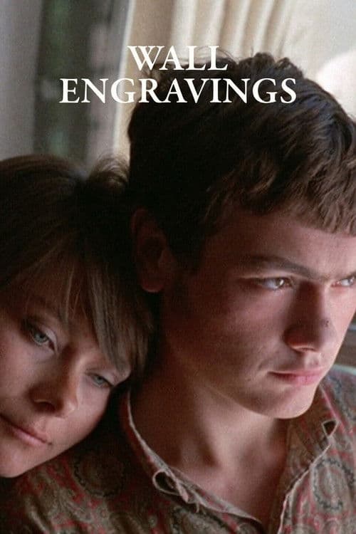 Wall Engravings poster