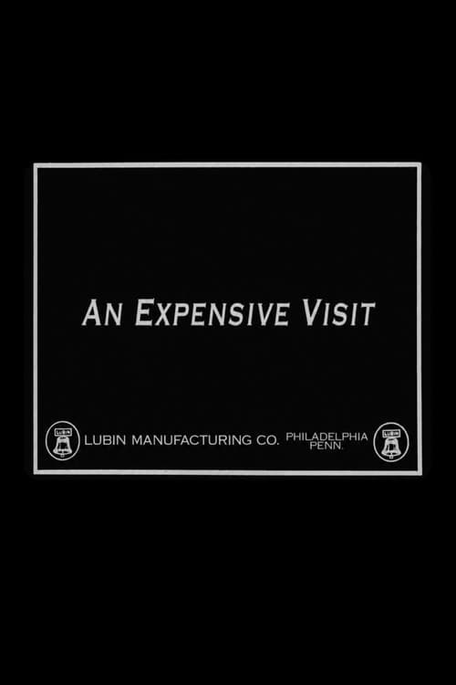 An Expensive Visit poster