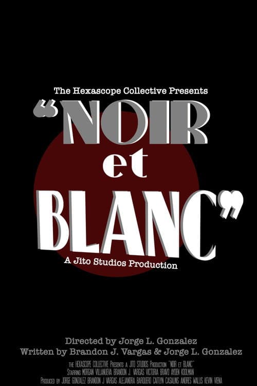Noir et Blanc poster