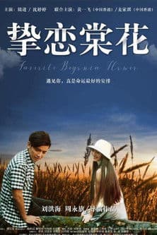 Favorite Begonia Flower