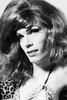 Goddess Bunny profile photo