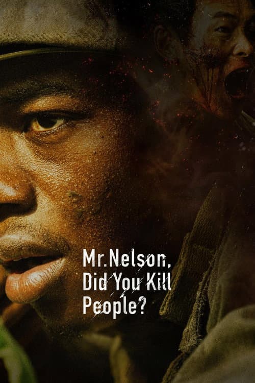 Mr. Nelson, Did You Kill People? poster