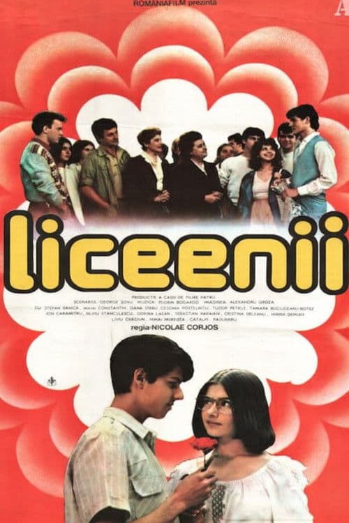 The High schoolers poster