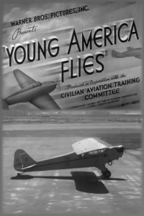 Young America Flies poster