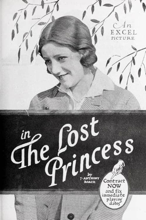 The Lost Princess poster