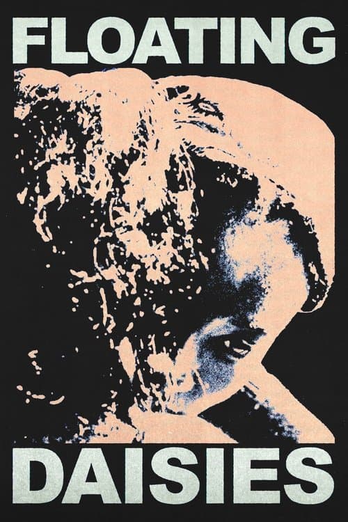 Floating Daisies poster