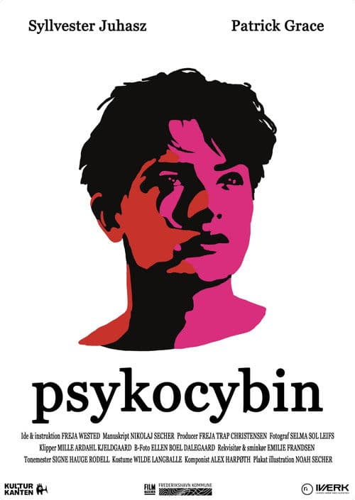 Psykocybin poster