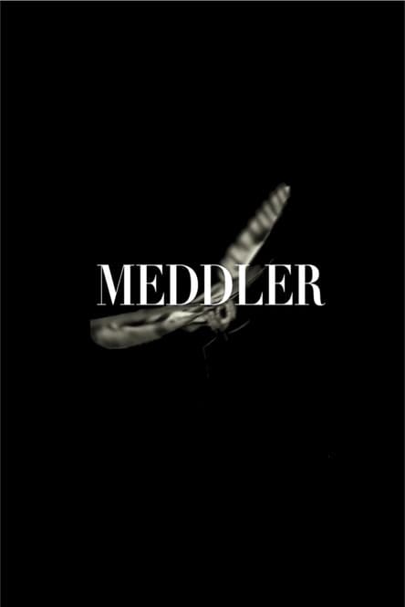 Meddler poster