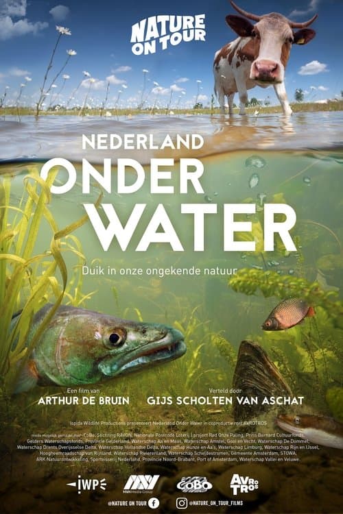Nederland onder water poster