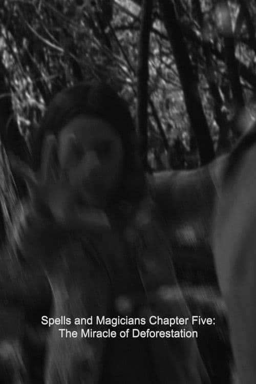 Spells and Magicians Chapter Five: The Miracle of Deforestation poster