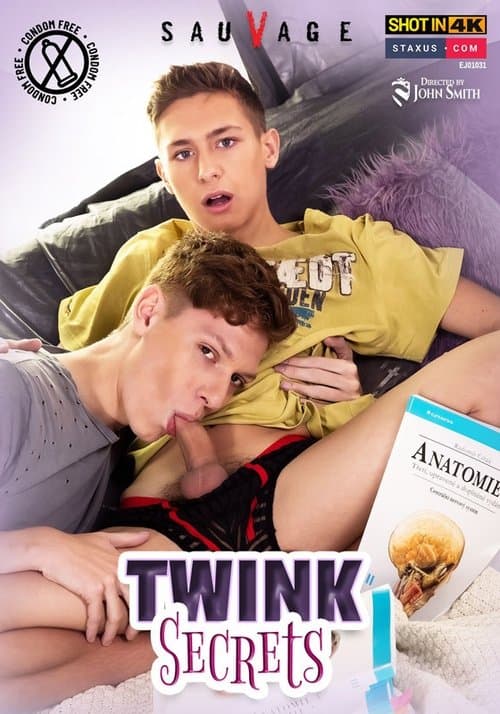 Twink Secrets poster
