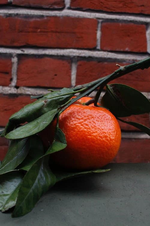 Orange Peel poster