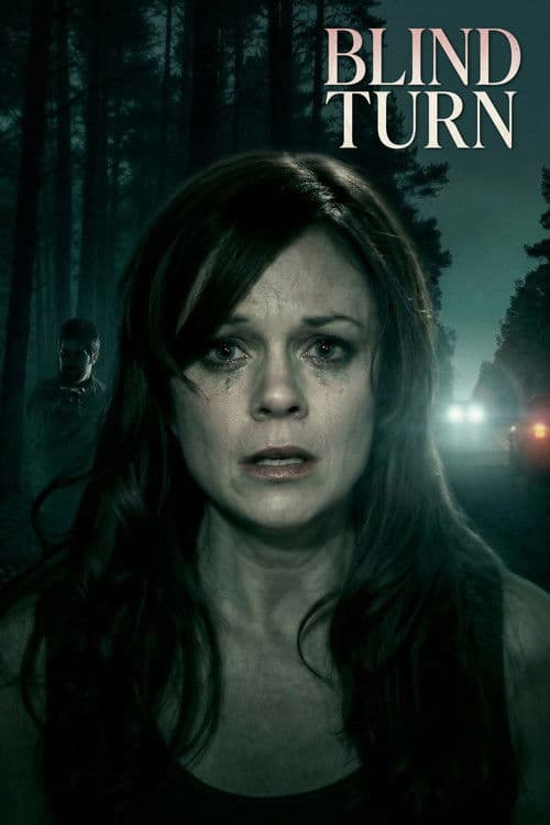 Blind Turn poster