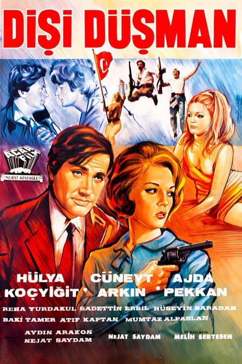 Dişi Düşman poster