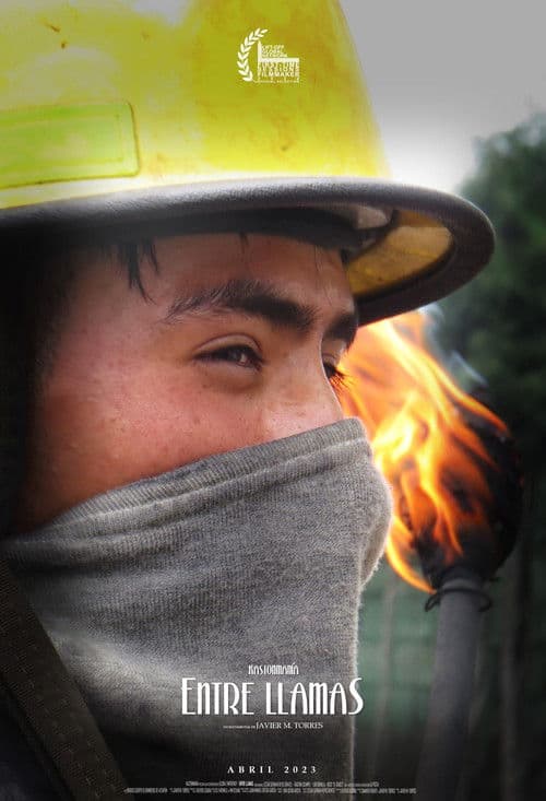 Entre llamas poster