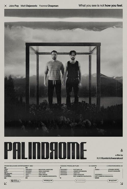 Palindrome poster
