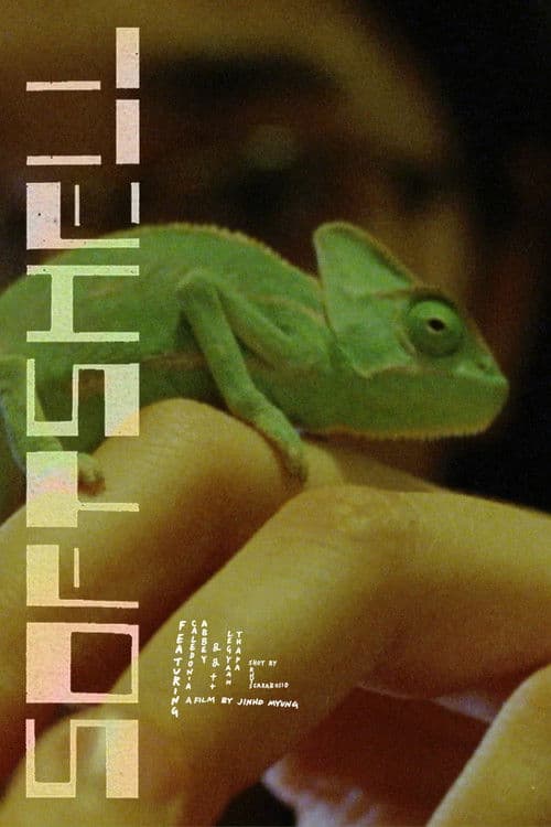 Softshell poster