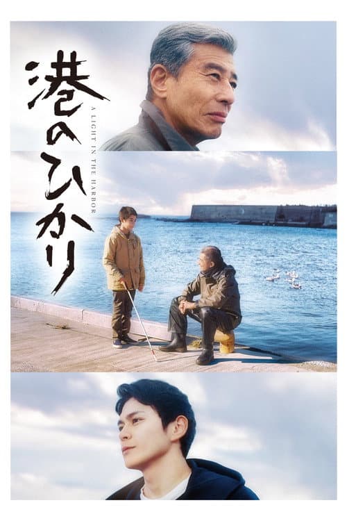 A Light in the Harbor poster