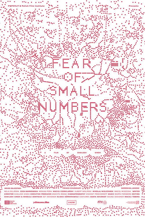 FEAR OF SMALL NUMBERS poster