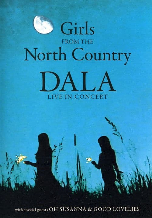 Girls from the North Country poster