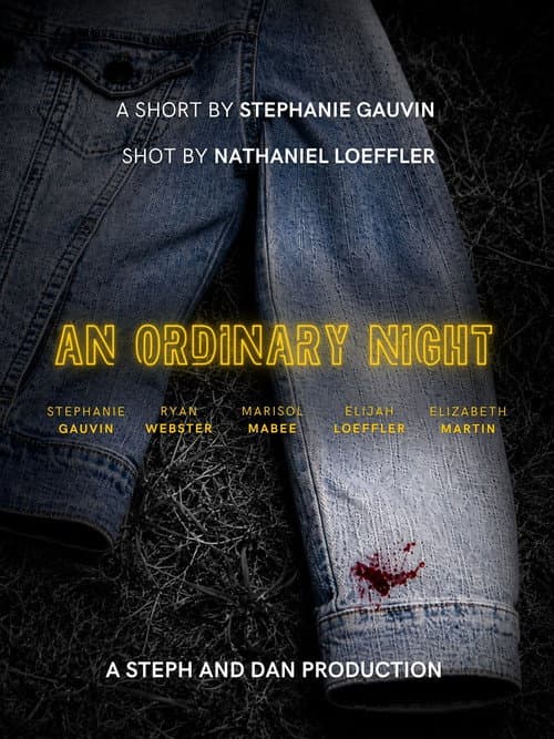 An Ordinary Night poster