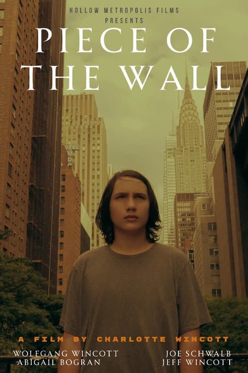 Piece Of The Wall poster