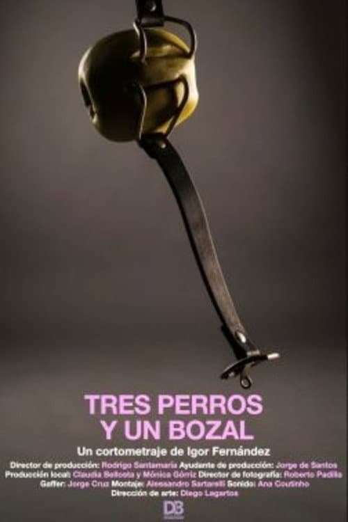 Tres Perros y Un Bozal poster