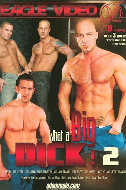 What a Big Dick! 2 poster