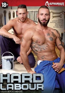 Hard Labour poster