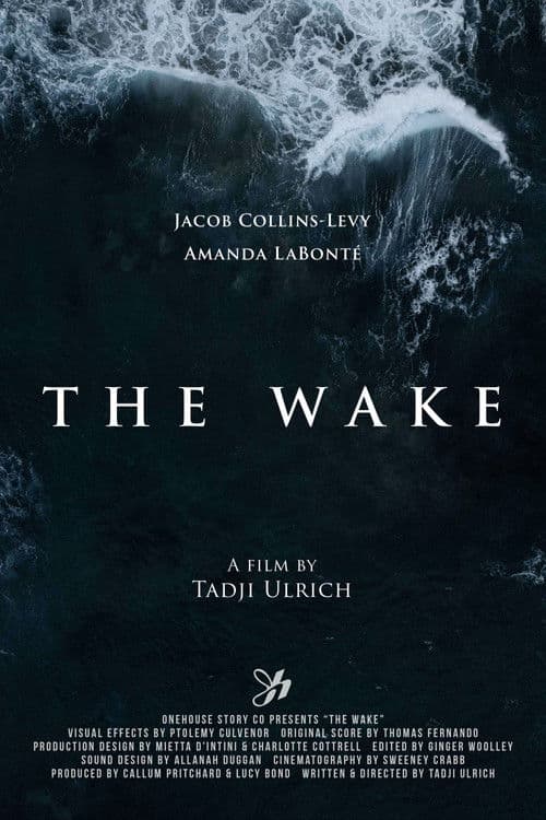 The Wake poster