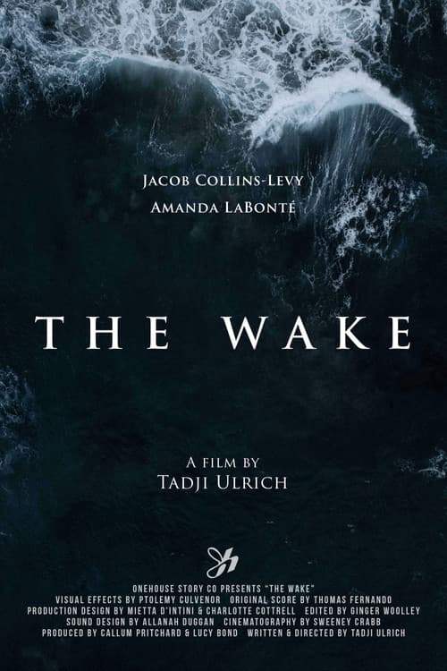 The Wake poster
