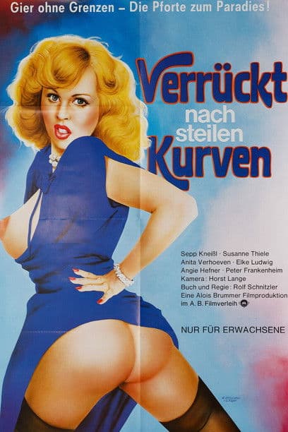Verrückt nach steilen Kurven poster