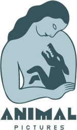 Animal Pictures