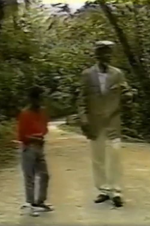 O Menino e o Velho poster