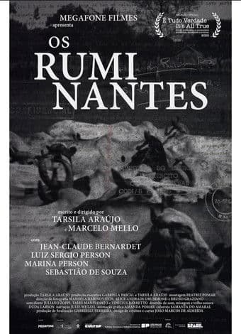 Os Ruminantes poster