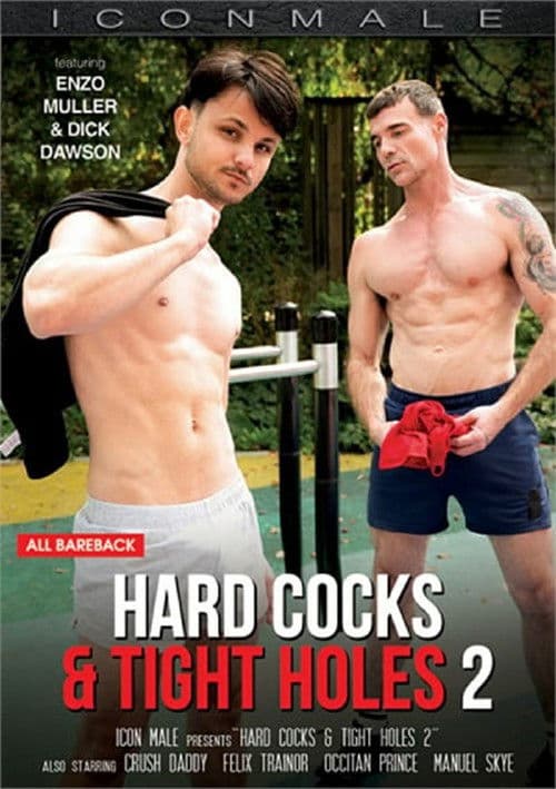Hard Cocks & Tight Holes 2 poster