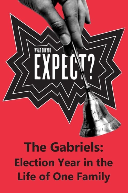 The Gabriels: Election Year in the Life of One Family, Play Two: What Did You Expect? poster