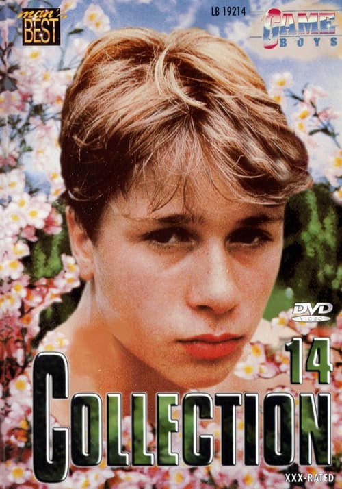 Game Boys Collection 14 poster