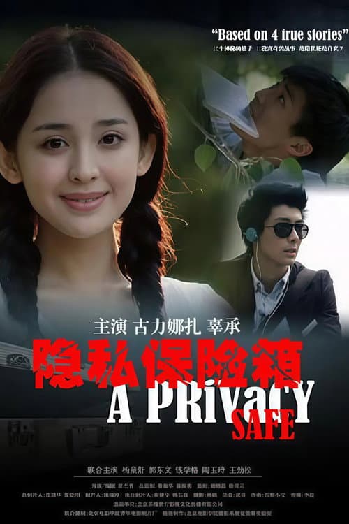 隐私保险箱 poster