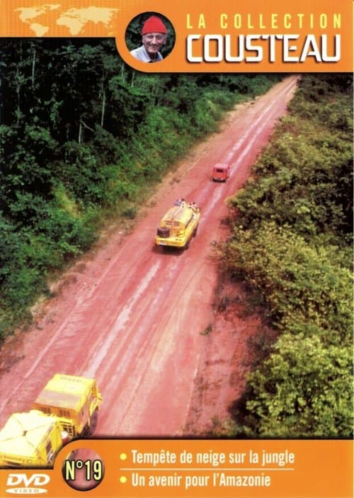 The Cousteau Collection N°19-1 | Amazon: Snowstorm in the Jungle poster