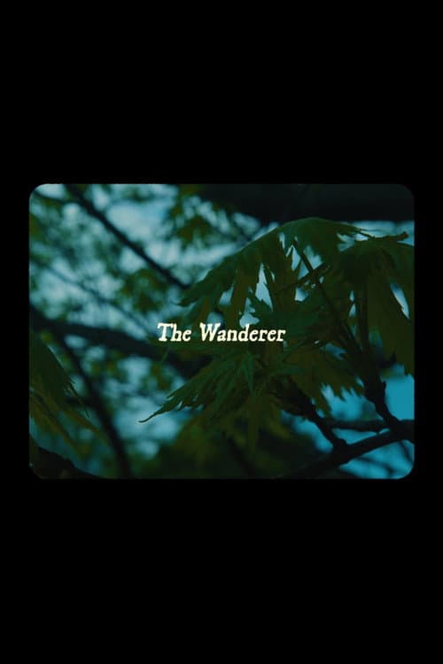 The Wanderer poster