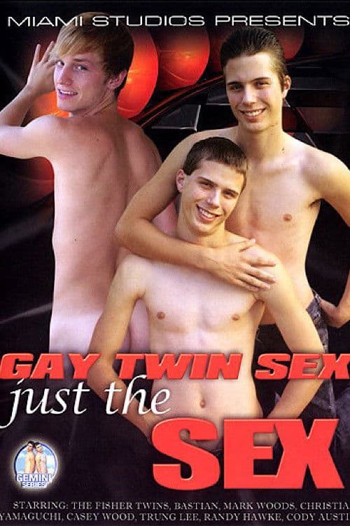 Gay Twin Sex: Just the Sex poster