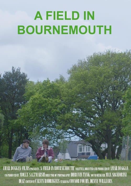 A Field in Bournemouth poster