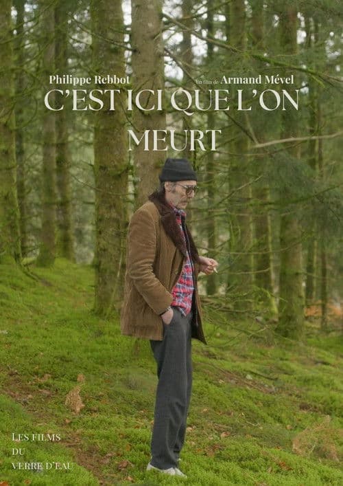 C'est ici que l'on meurt poster