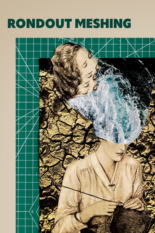 Rondout Meshing poster