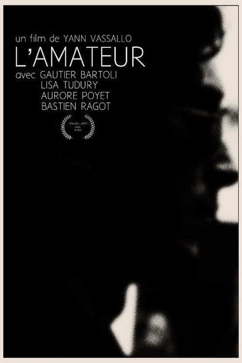 L'amateur poster