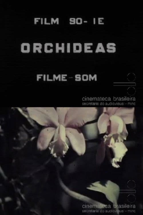Orchids poster