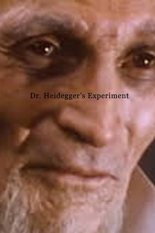 Dr. Heidegger's Experiment poster