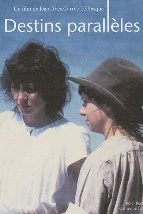 Destins parallèles poster
